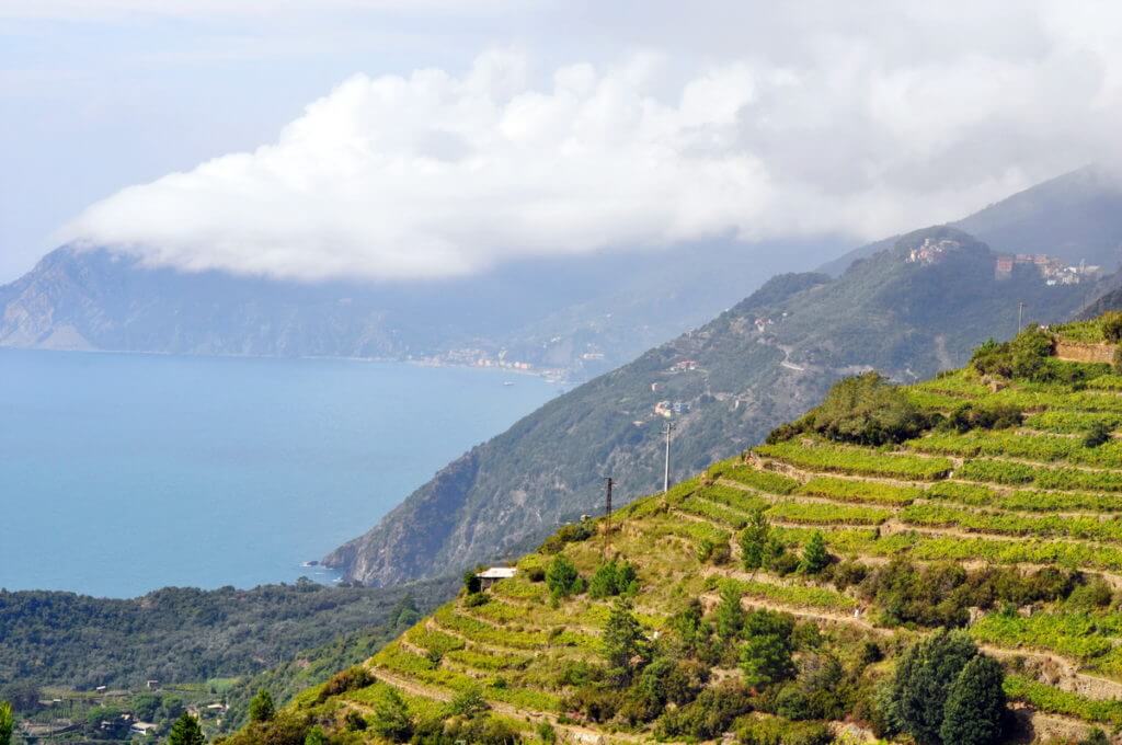 terraced gardens and clouds, cinque terre, italy