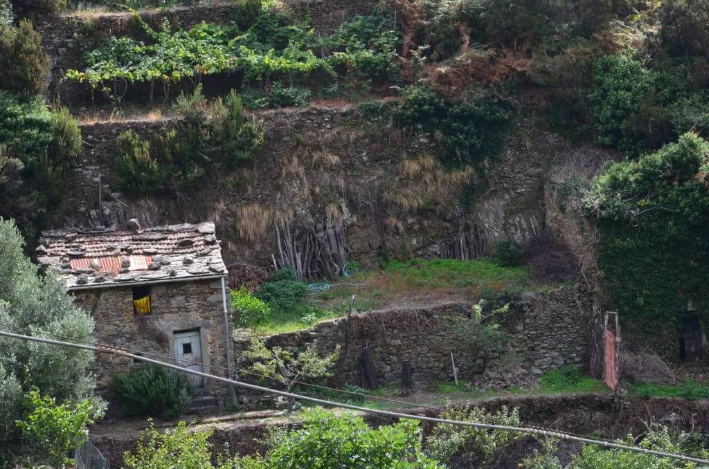 rustic stone shed, cinque terre italy