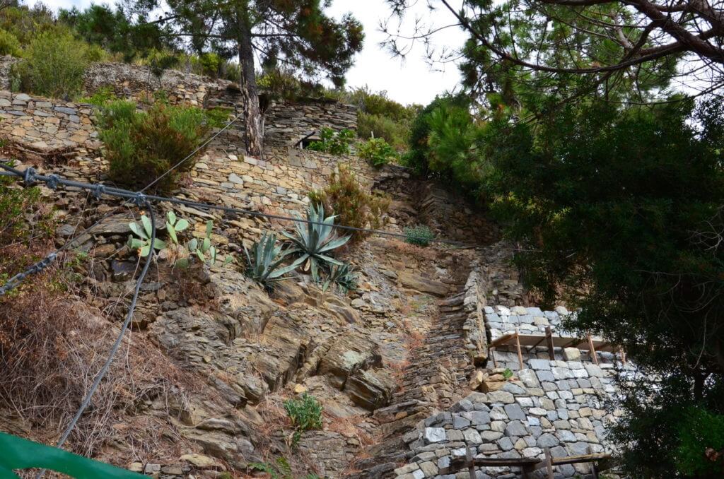 stone steps in a dry stone wall, cinque terre, italy