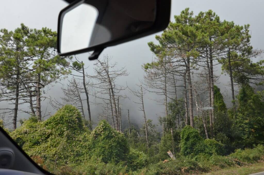 fog in the mountains, cinque terre, italy