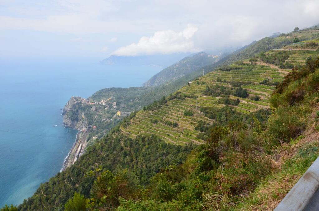 terraced slopes and corniglia, cinque terre, italy