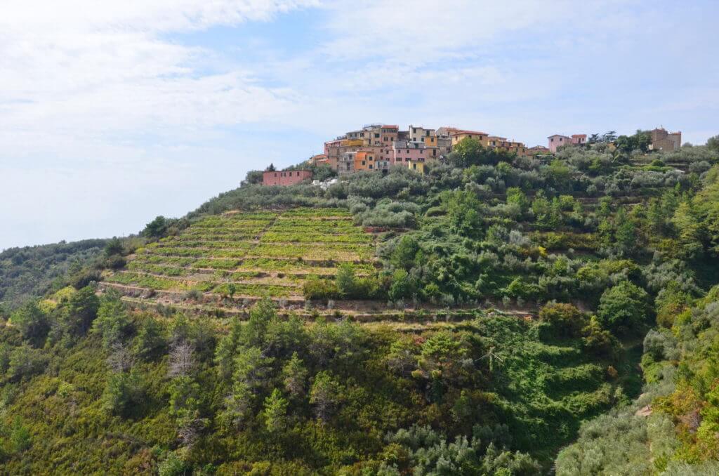 volastra, terraced mountain, cinque terre, italy