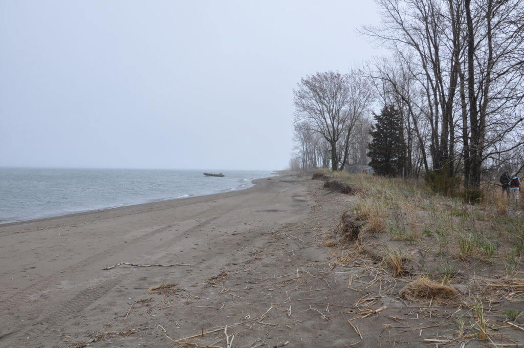 the beach at the tip of long point, lake erie, ontario