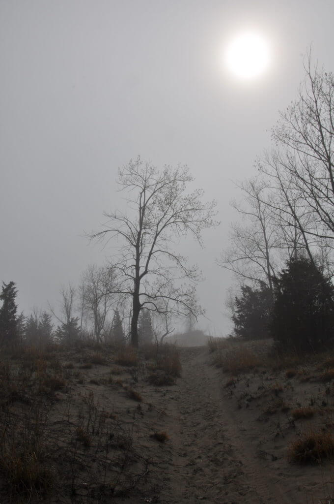 sun, sand and trees, the tip of long point, lake erie, ontario