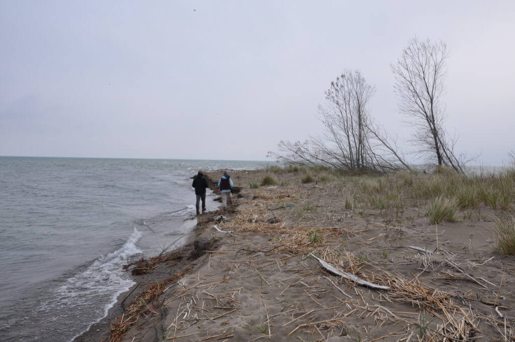 jean and garrett walk to the tip, long point, lake erie, ontario