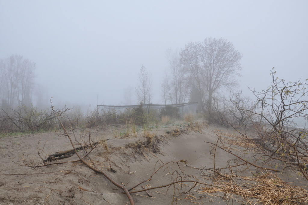 sand dunes and mist net, the tip of long point, lake erie, ontario 