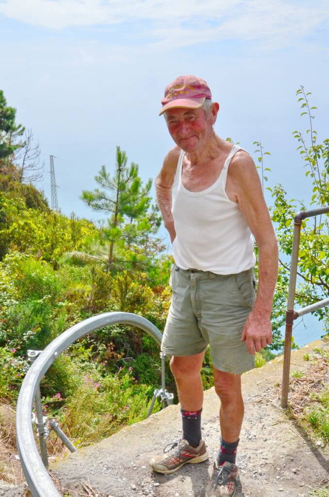 vineyard worker, cinque terre, italy