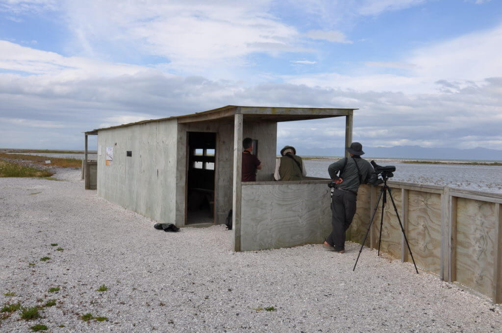 bird blind, Pukorokoro Miranda Shorebird Centre, north island, new zealand