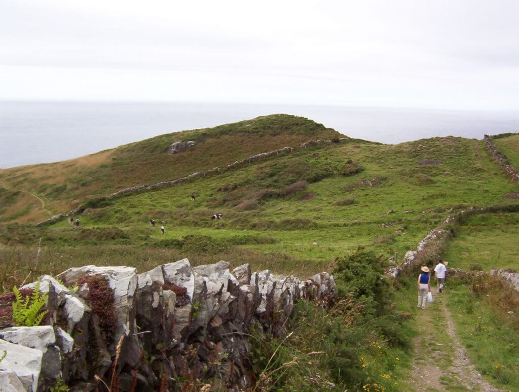 drystone walls and fields, tintagel, cornwall, england