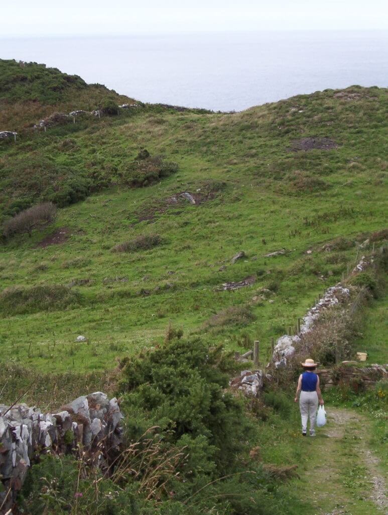 drystone walls and fields, tintagel, cornwall, england