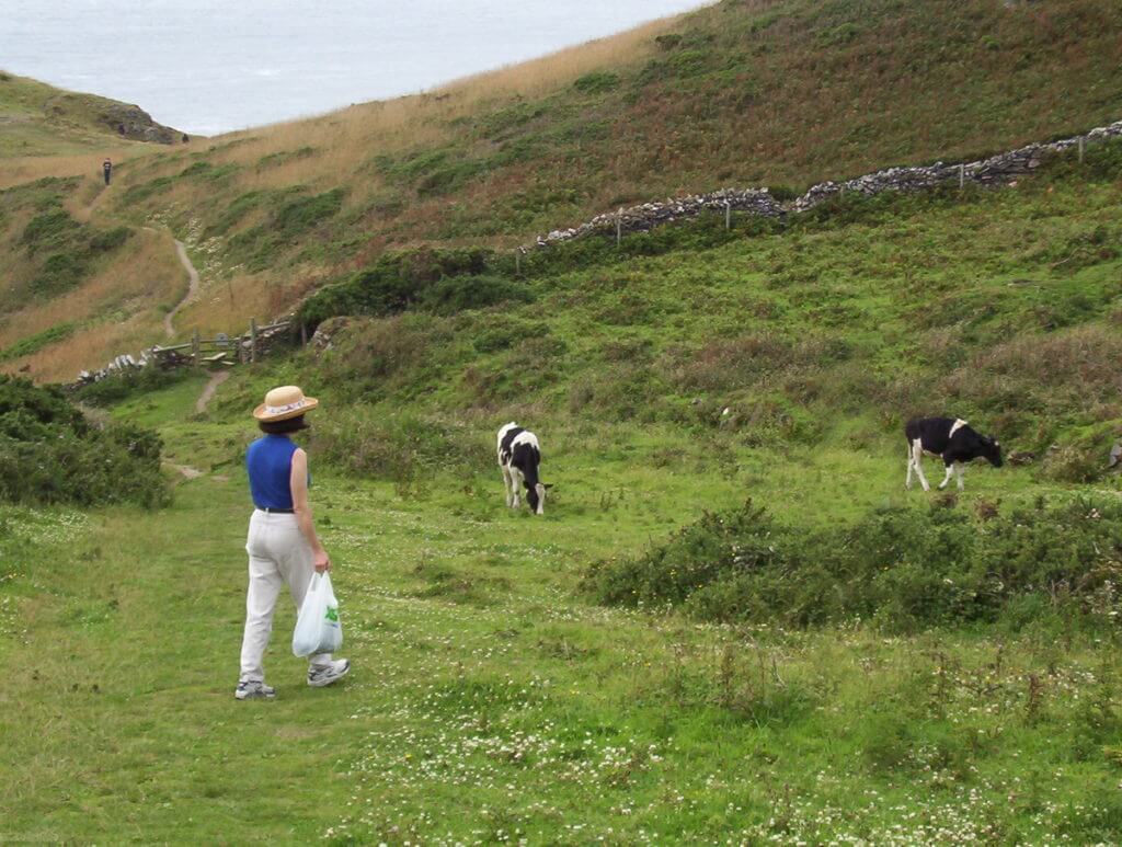 jean hiking through the paddocks, tintagel, cornwall, england