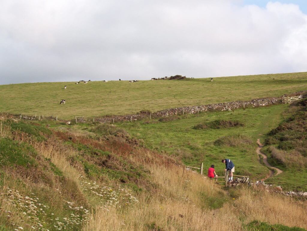 hikers in the paddocks near tintagel, cornwall, england