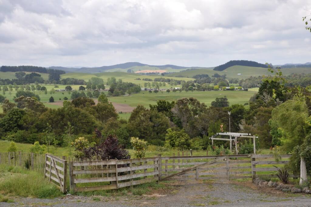 rolling hills and woodlots near auckland, new zealand