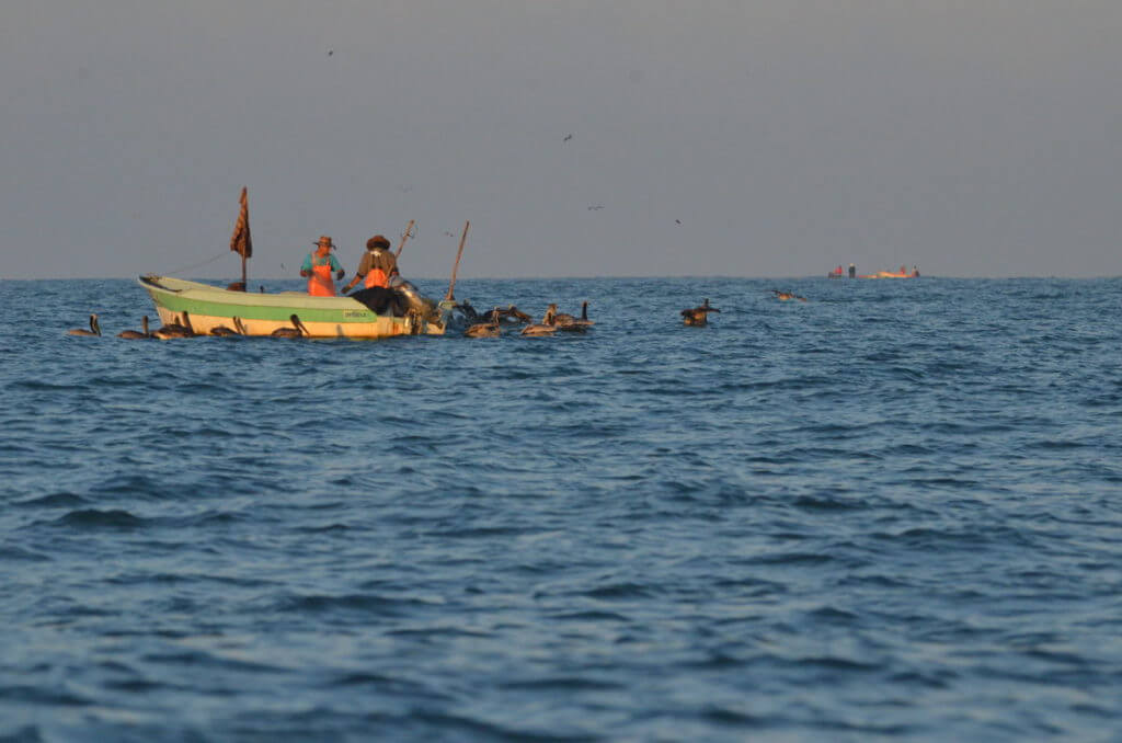 fishermen in a panga, pacific ocean off san blas, mexico