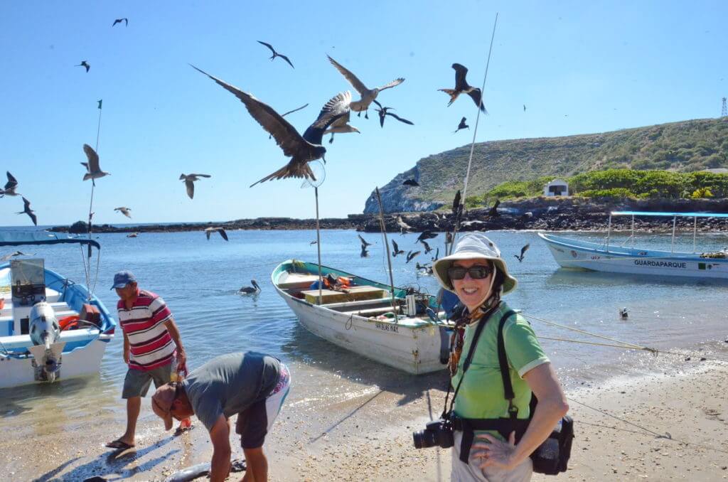 jean watching fishermen and magnificent frigatebirds, isla isabel, mexico