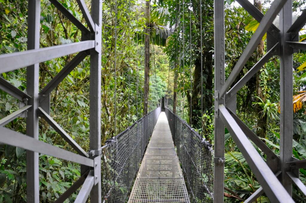 a hanging bridge, mistico arenal hanging bridges park, la fortuna, costa rica