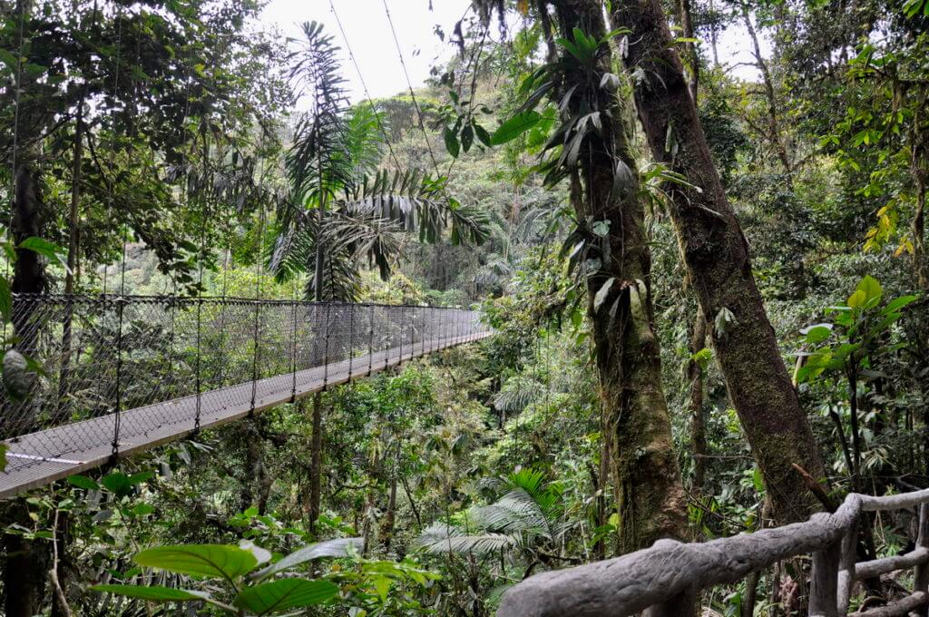 a hanging bridge, mistico arenal hanging bridges park, la fortuna, costa rica