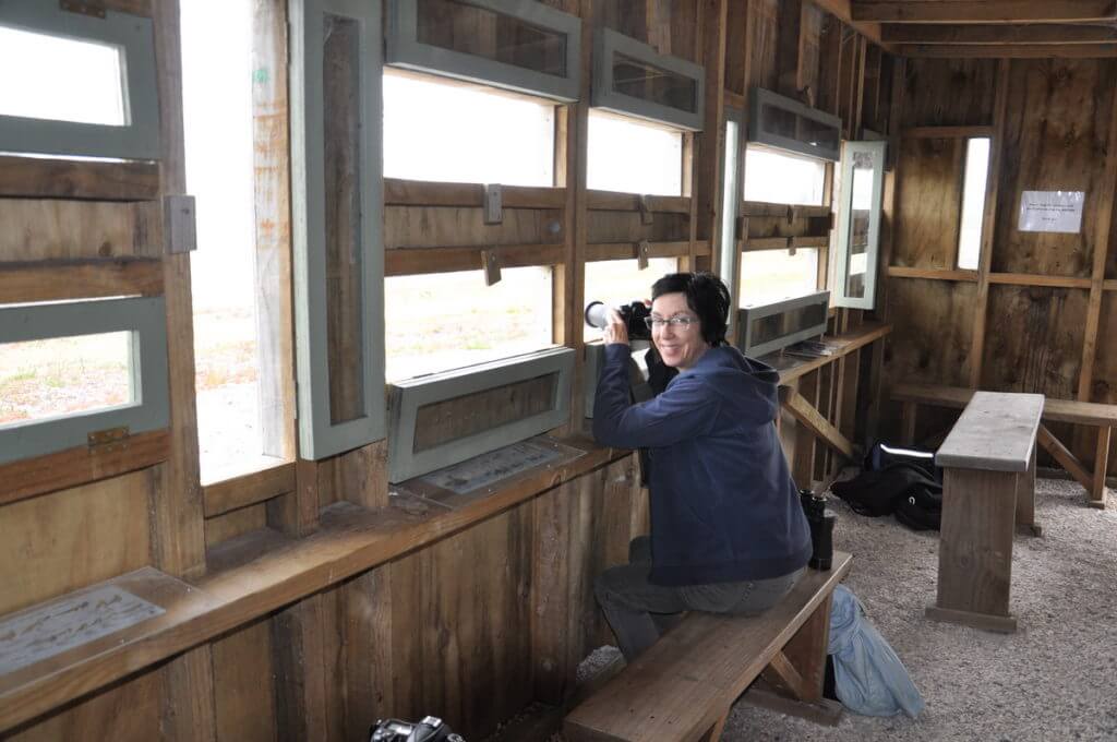 jean inside the bird blind, Pukorokoro Miranda Shorebird Centre, north island, new zealand