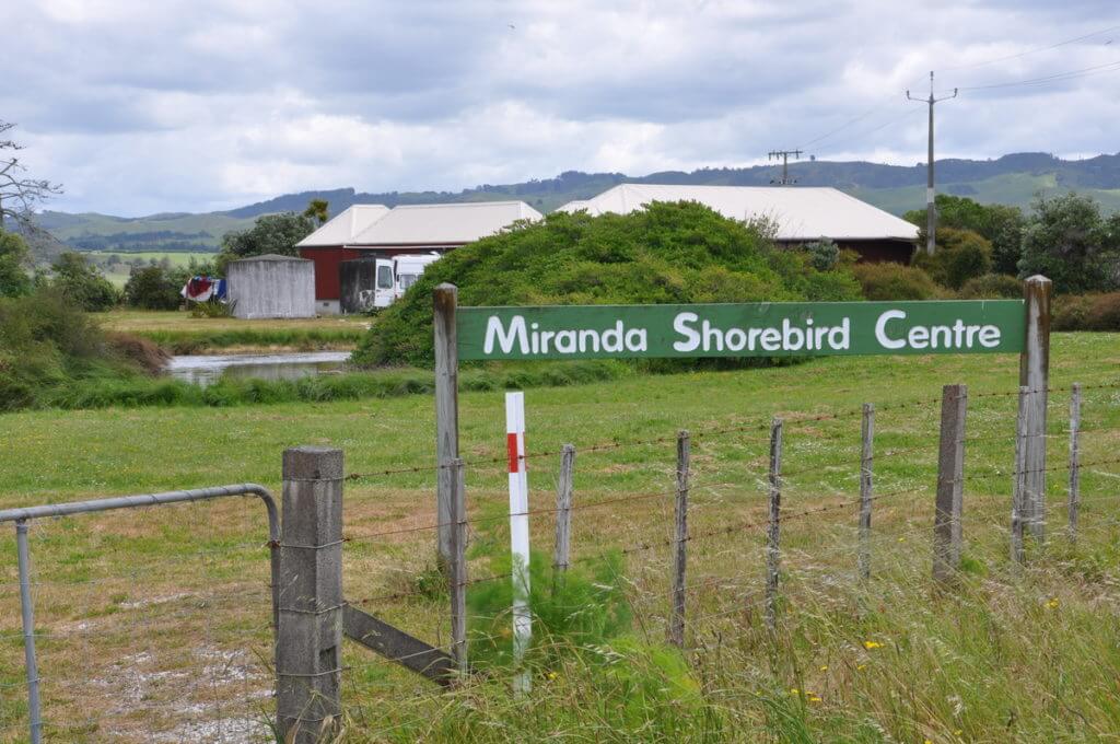 miranda shorebird centre and sign, miranda, north island, new zealand