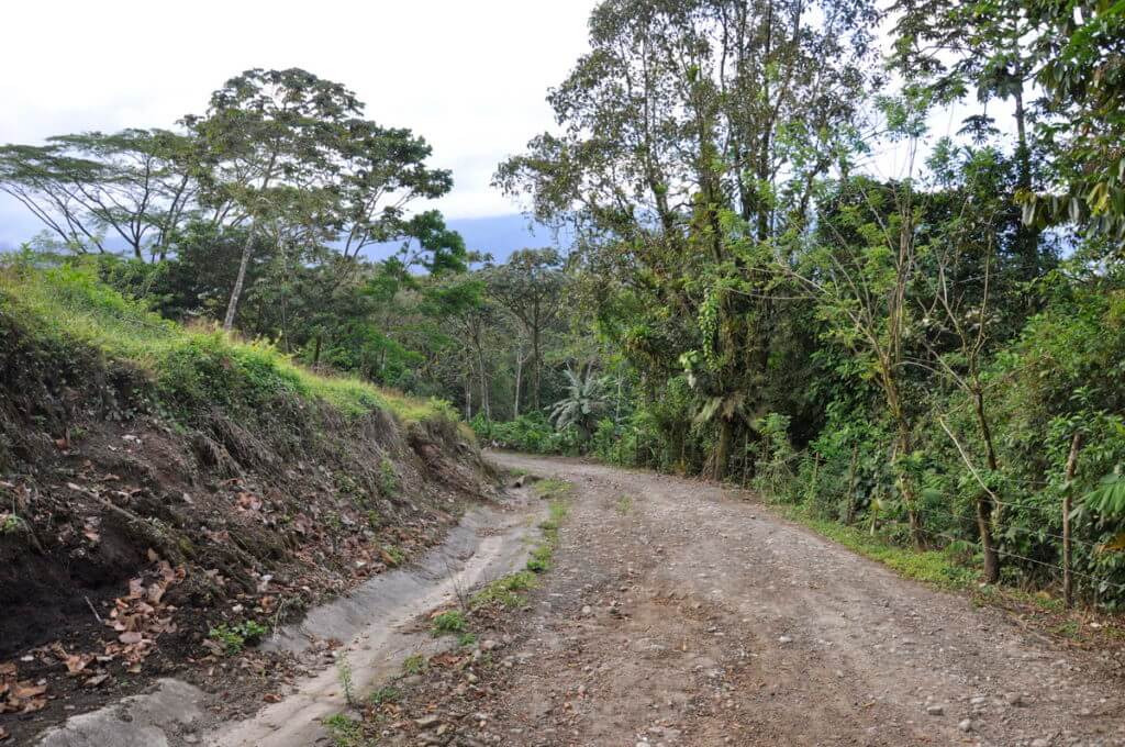 a gravel road, mistico arenal hanging bridges park, la fortuna, costa rica