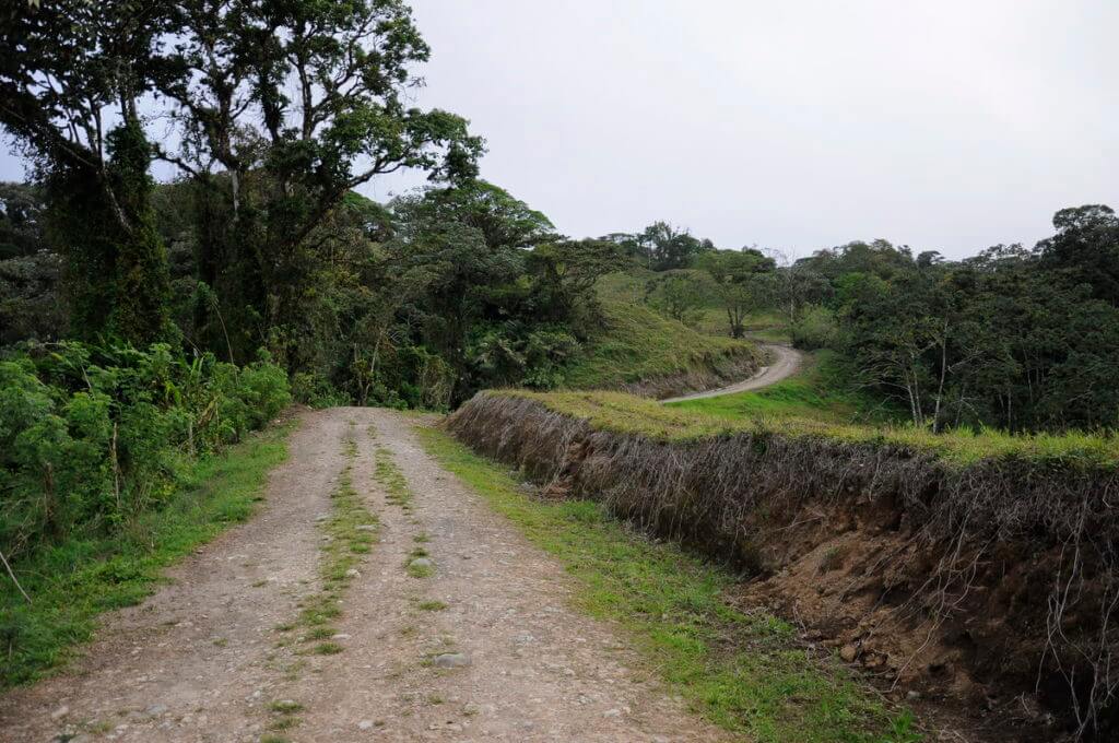 a backroad trail, mistico arenal hanging bridges park, la fortuna, costa rica