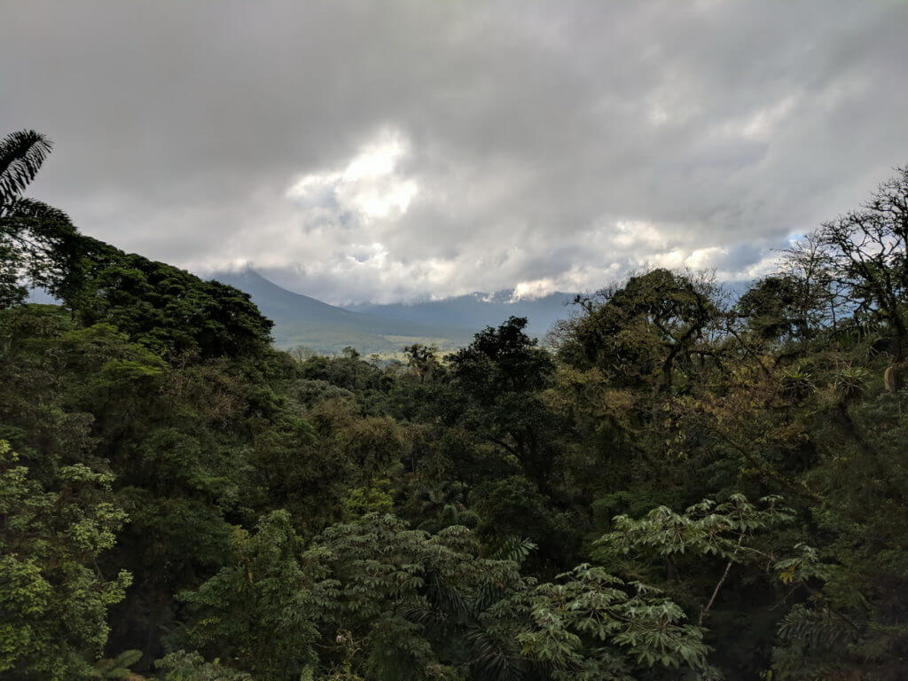 the forest canopy, mistico arenal hanging bridges park, la fortuna, costa rica