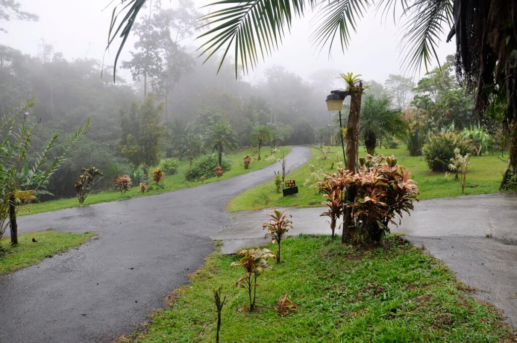 the grounds, kokoro lodge, la fortuna, costa rica