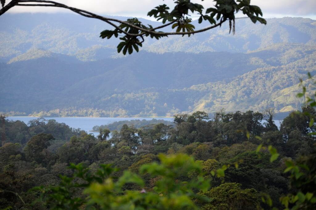 lake arenal and the tilaran mountain range, mistico arenal hanging bridges park, la fortuna, costa rica