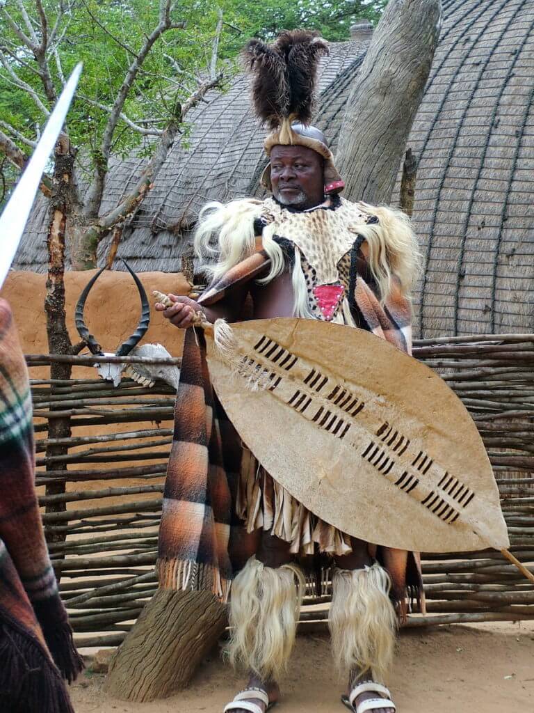 a zulu chieftain with war shield, shakaland, kwazulu-natal, south africa