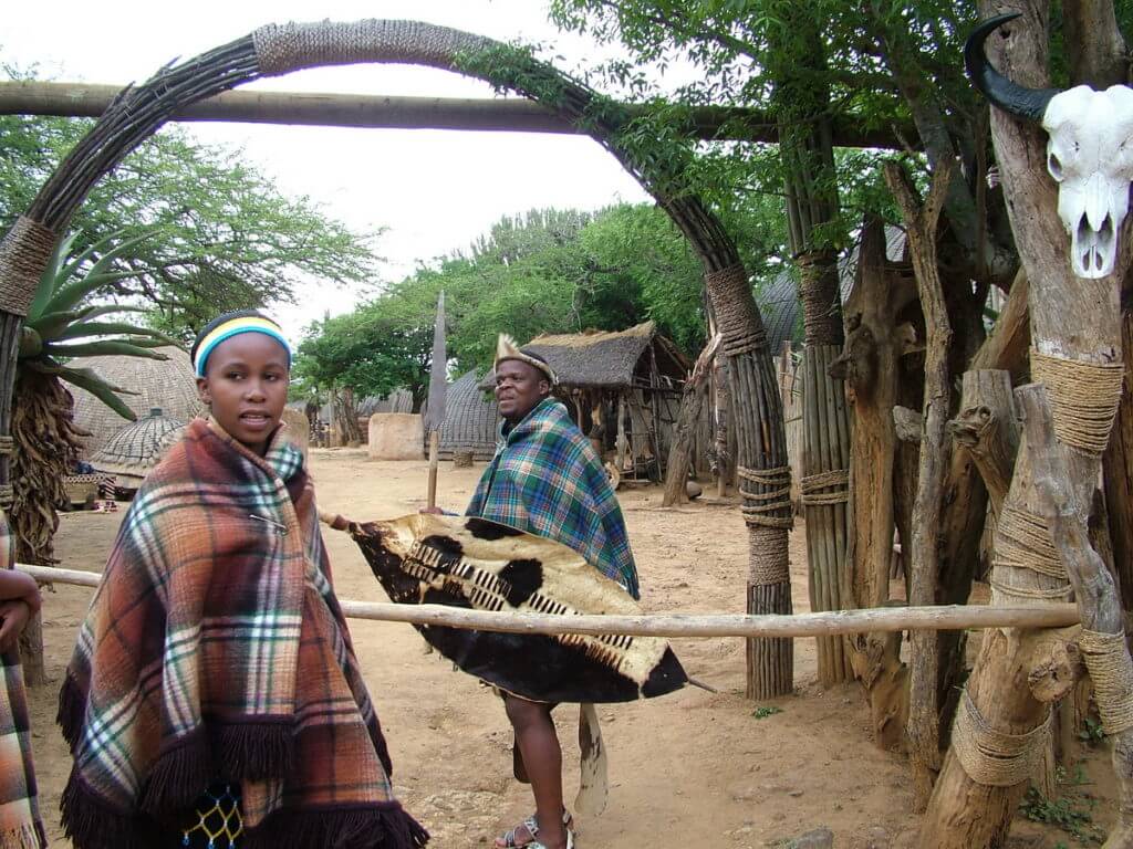 a zulu warrior with a warm shield, shakaland, kwazulu-natal, south africa