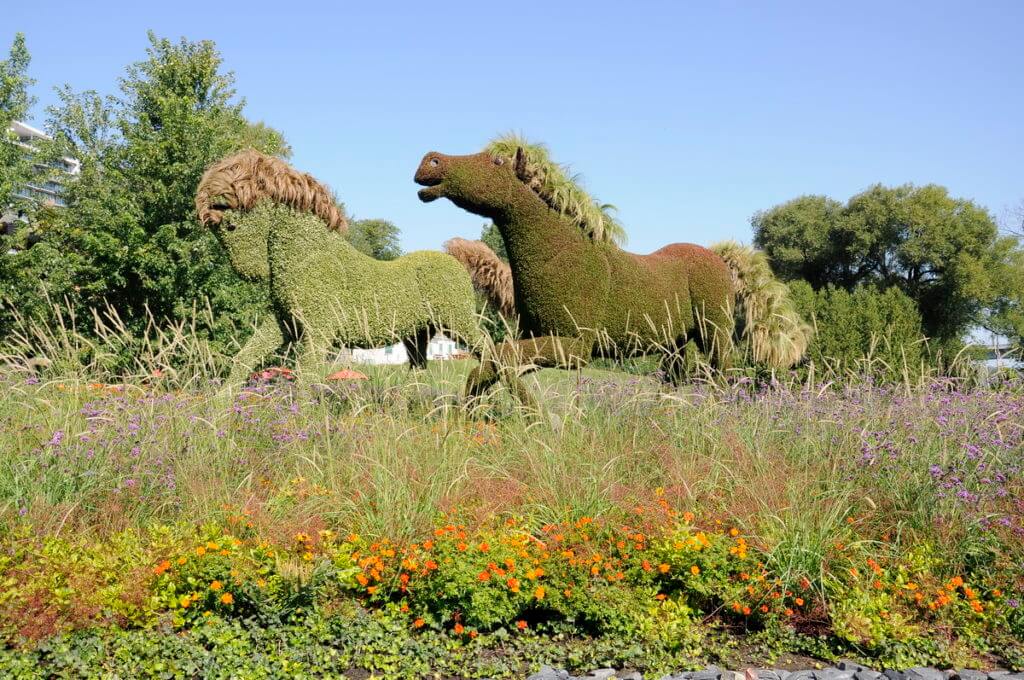 mosaiculture horses, mosaiculture 2018, gatineau, quebec, canada