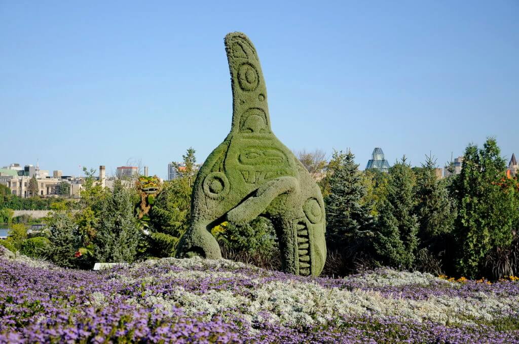 killer whale, mosaiculture 2018, gatineau, quebec, canada