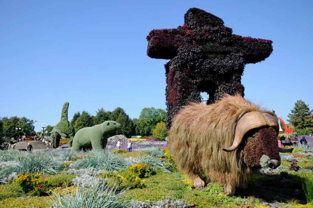 a musk ox, mosaiculture 2018, gatineau, quebec, canada