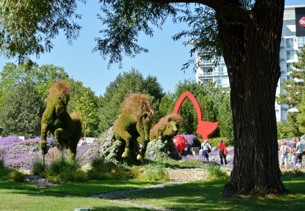 the canadian horse, mosaiculture 2018, gatineau, quebec, canada