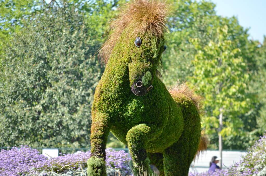 the canadian horse, mosaiculture 2018, gatineau, quebec, canada