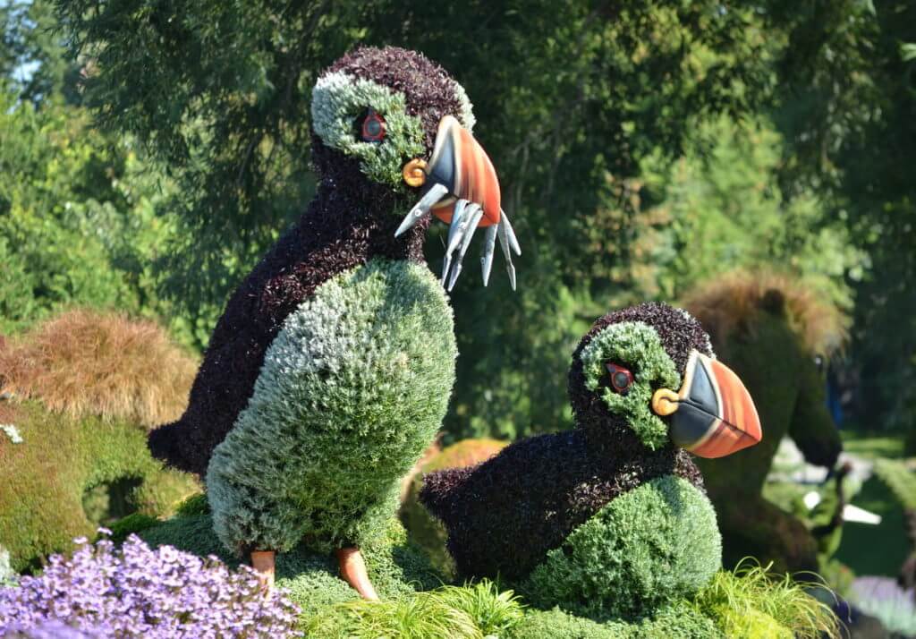 Atlantic Puffins, mosaiculture 2018, gatineau, quebec, canada