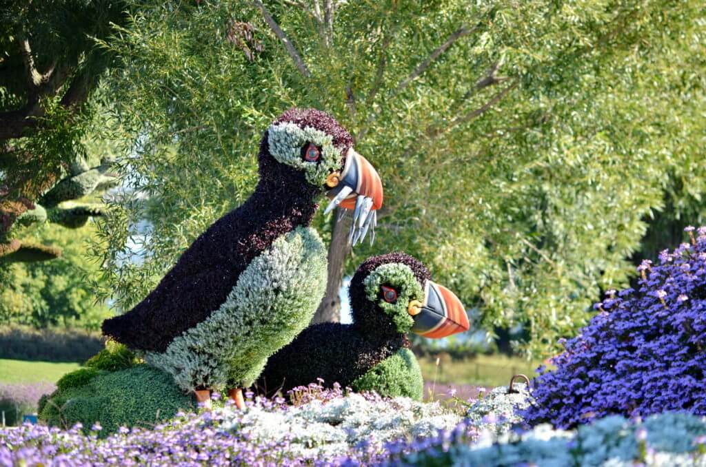atlantic puffins, mosaiculture 2018, gatineau, quebec, canada