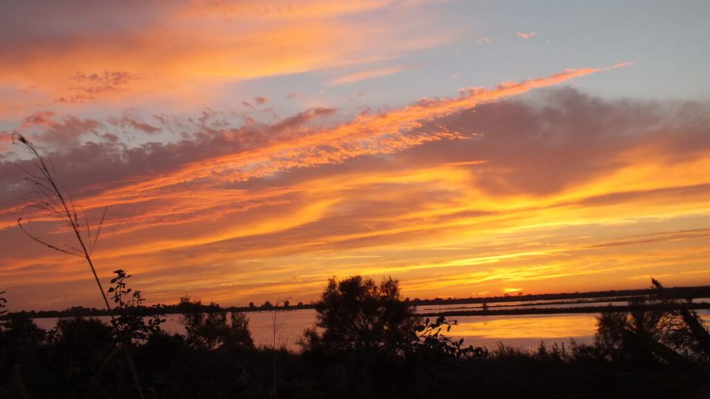 a blazing orange sky, Parco Regionale Veneto del Delta del Po (The Regional Park of the Po River Delta), italy