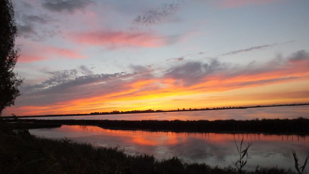 a sunset reflected in the wetlands, Parco Regionale Veneto del Delta del Po (The Regional Park of the Po River Delta), italy