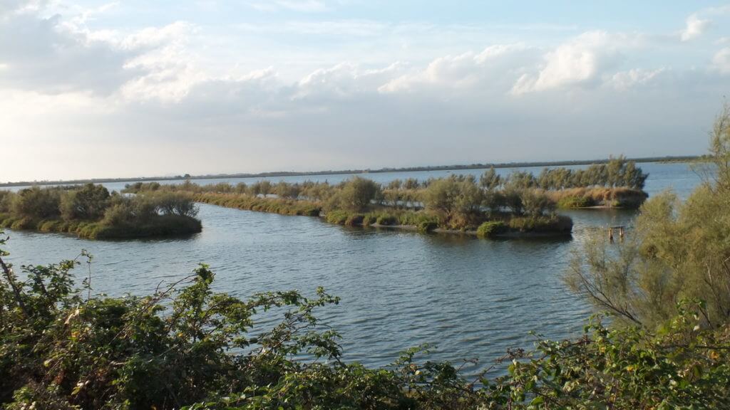wetlands, Parco Regionale Veneto del Delta del Po (The Regional Park of the Po River Delta), italy