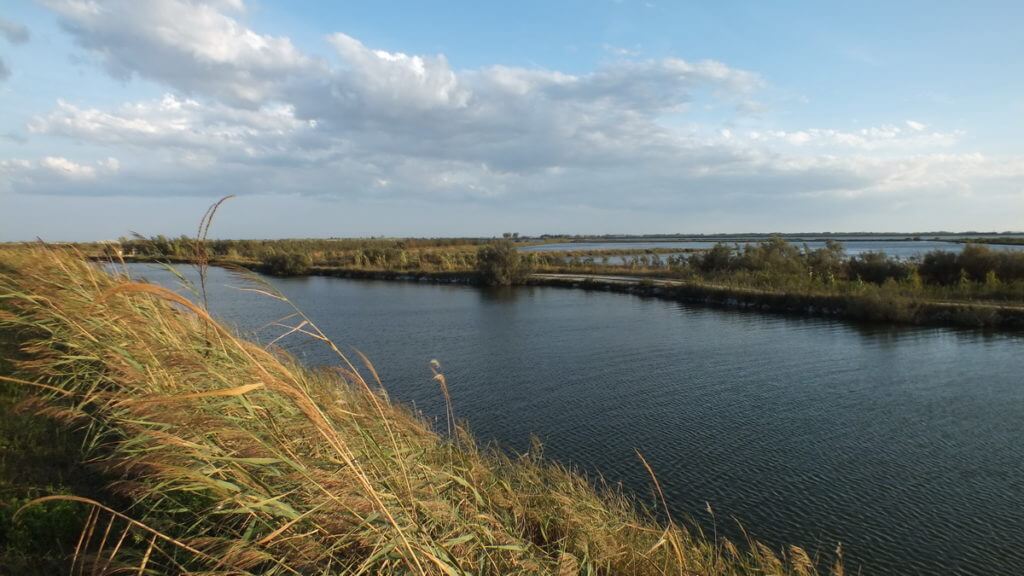 wetlands, Parco Regionale Veneto del Delta del Po (The Regional Park of the Po River Delta), italy