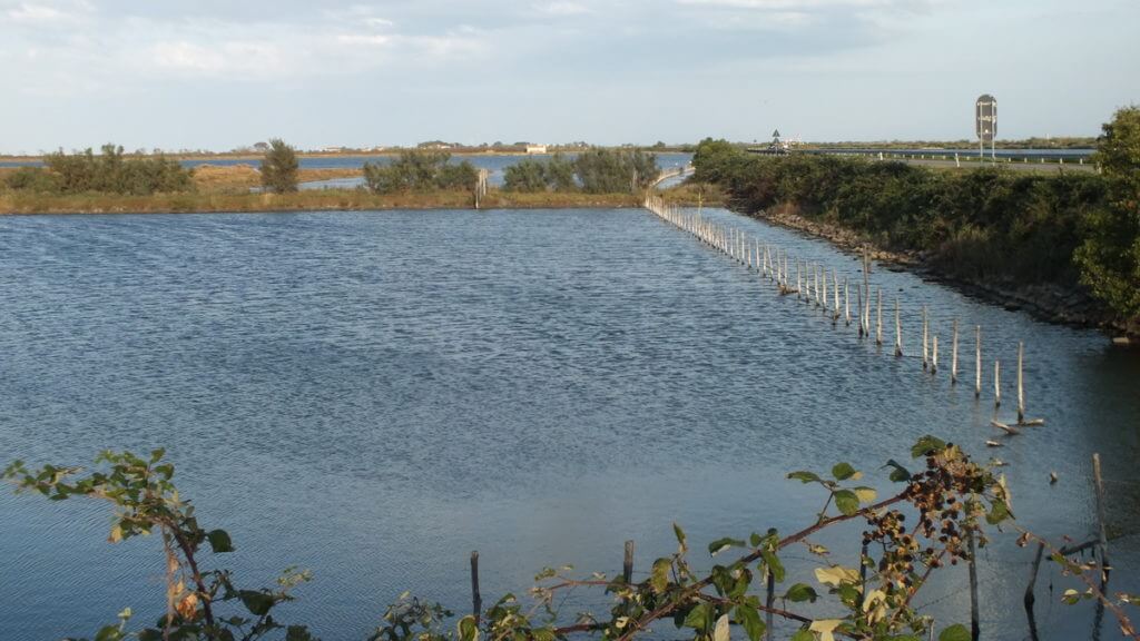 wetlands, Parco Regionale Veneto del Delta del Po (The Regional Park of the Po River Delta), italy