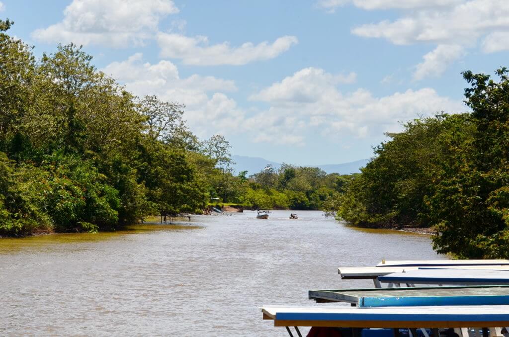 rio frio, cano negro wildlife refuge, costa rica