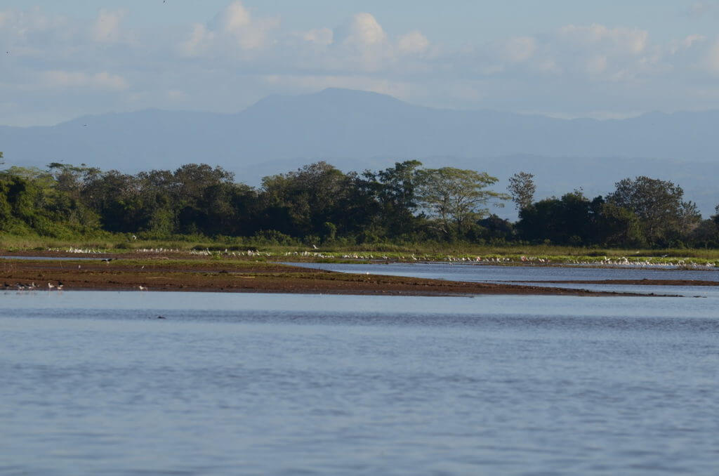 cano lago lagoons, cano negro wildlife refuge, costa rica