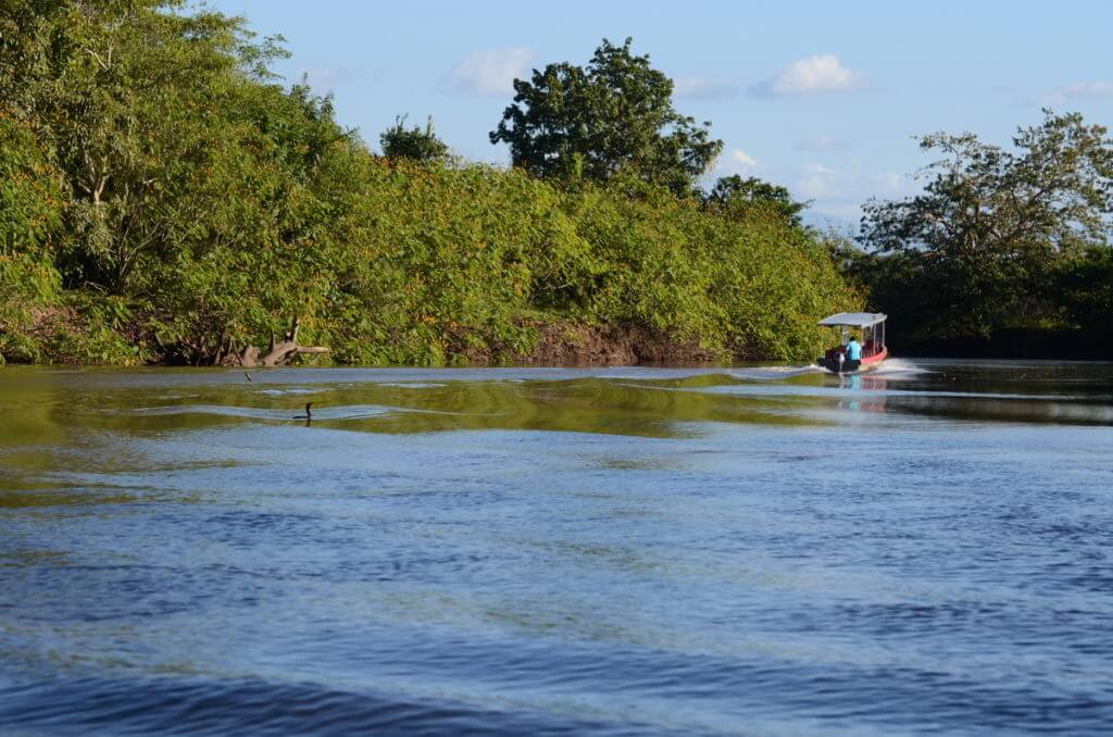 frio river, cano negro wildlife refuge, costa rica