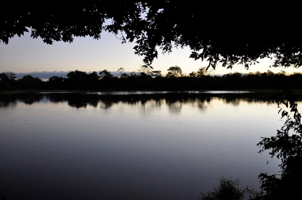 sunset over cano negro lake, cano negro wildlife refuge, costa rica