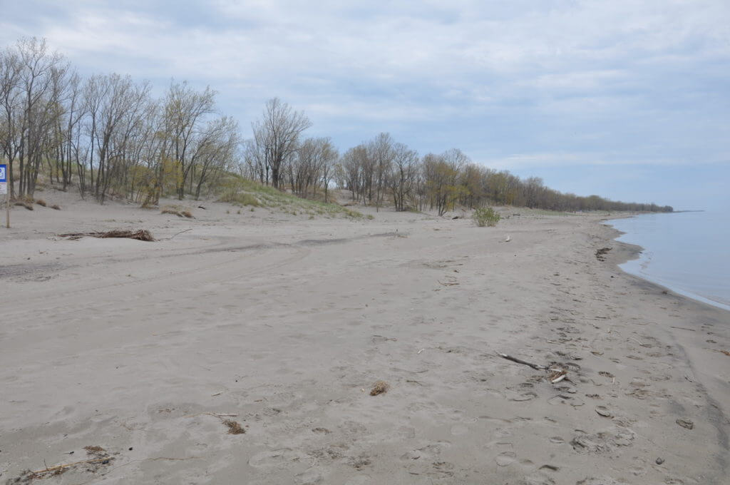 the beach, the new long point provincial park, long point, ontario