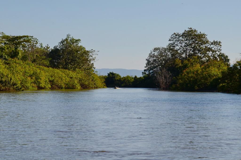 frio river, cano negro wildlife refuge, costa rica
