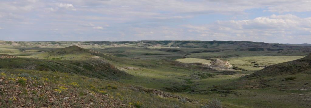 Image of a coulee, badlands, valley of 1000 devils route, grasslands national park east block, saskatchewan
