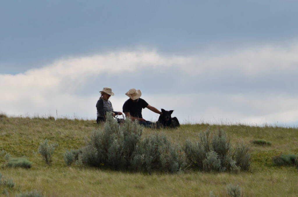 Image of hikers with a dog along the valley of 1000 devils route, grasslands national park east block, saskatchewan